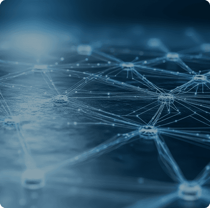 Fine-tuning & Specialization